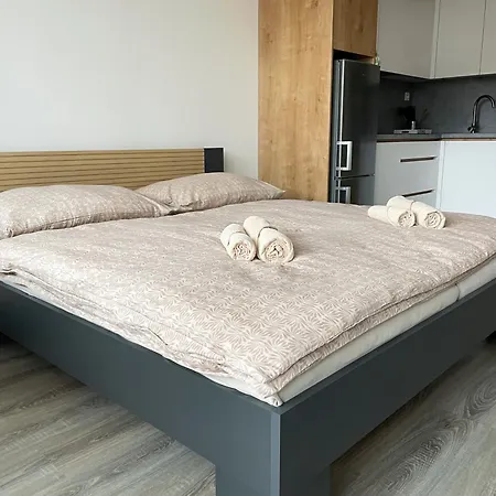Apartment Fristenskeho *