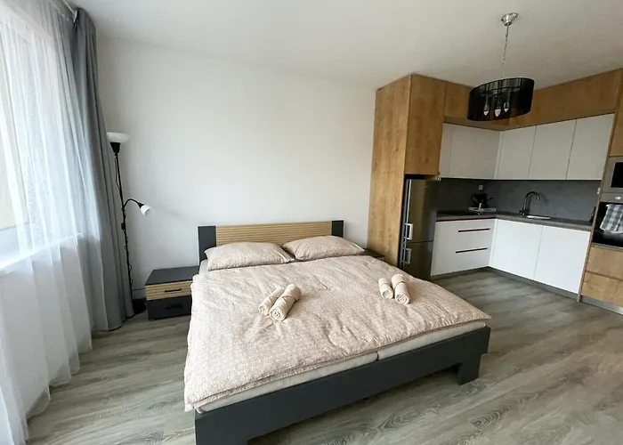 Fristenskeho Olomouc